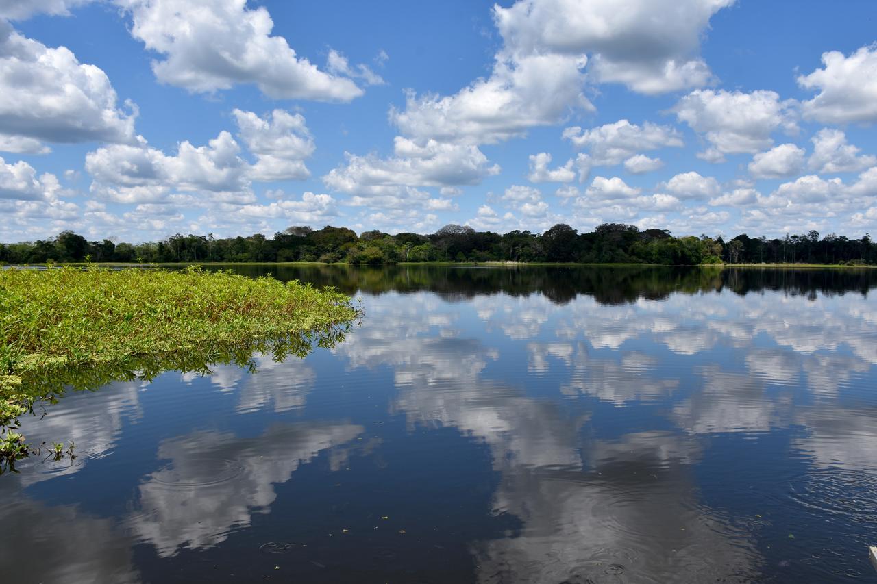 Yaku Amazon Lodge & Expeditions Paraíso 外观 照片